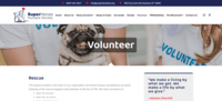 Volunteer